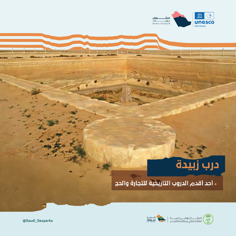 Saudi_Geoparks's tweet photo. اكتشف أبرز معالم #سلمى_جيوبارك ..

مواقع طبيعية فريدة ذات قيمة جيولوجية استثنائية تشهد على تاريخ الأرض.

#أرضنا_تراث_العالم
#السعودية_جيوبارك