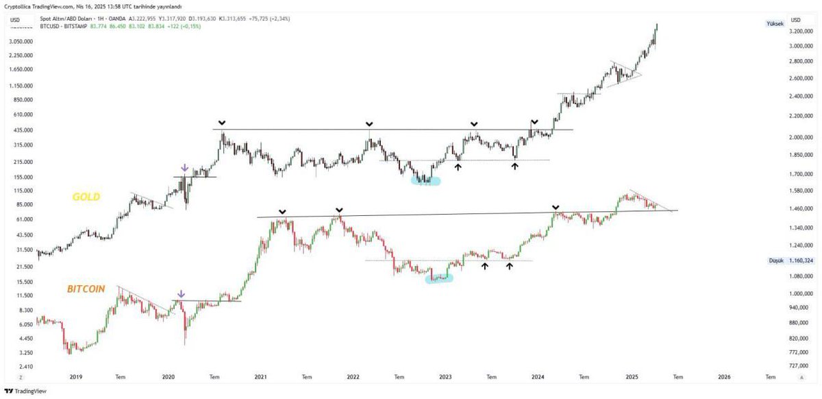 Allcrypto_me's tweet photo. 🎯#News Allcryptome.Cryptollica analysts believe that #BTC will grow to $155,000 by the end of 2025, given its correlation with #goldBitcoin lags behind #gold by about 100-150 days. https://t.co/i85QpLn7Yi