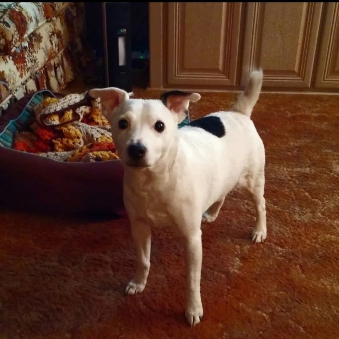 MAX(OTRB💗) tweet media