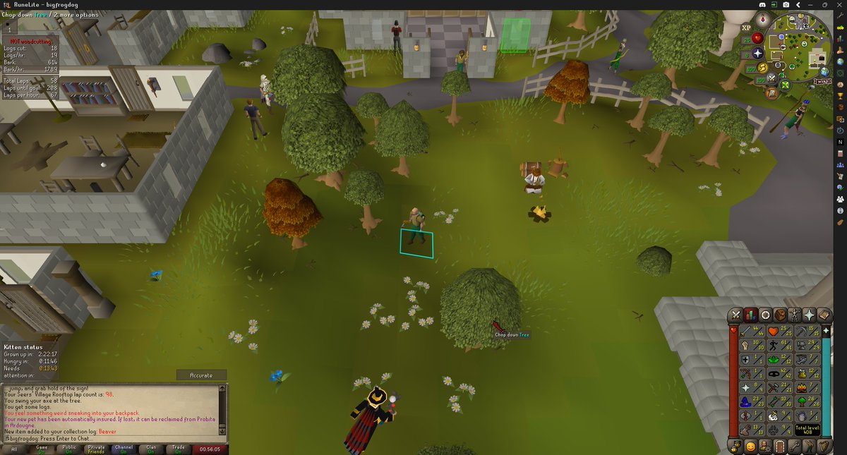 26 woodcutting beaver 😂😂😂😂😂