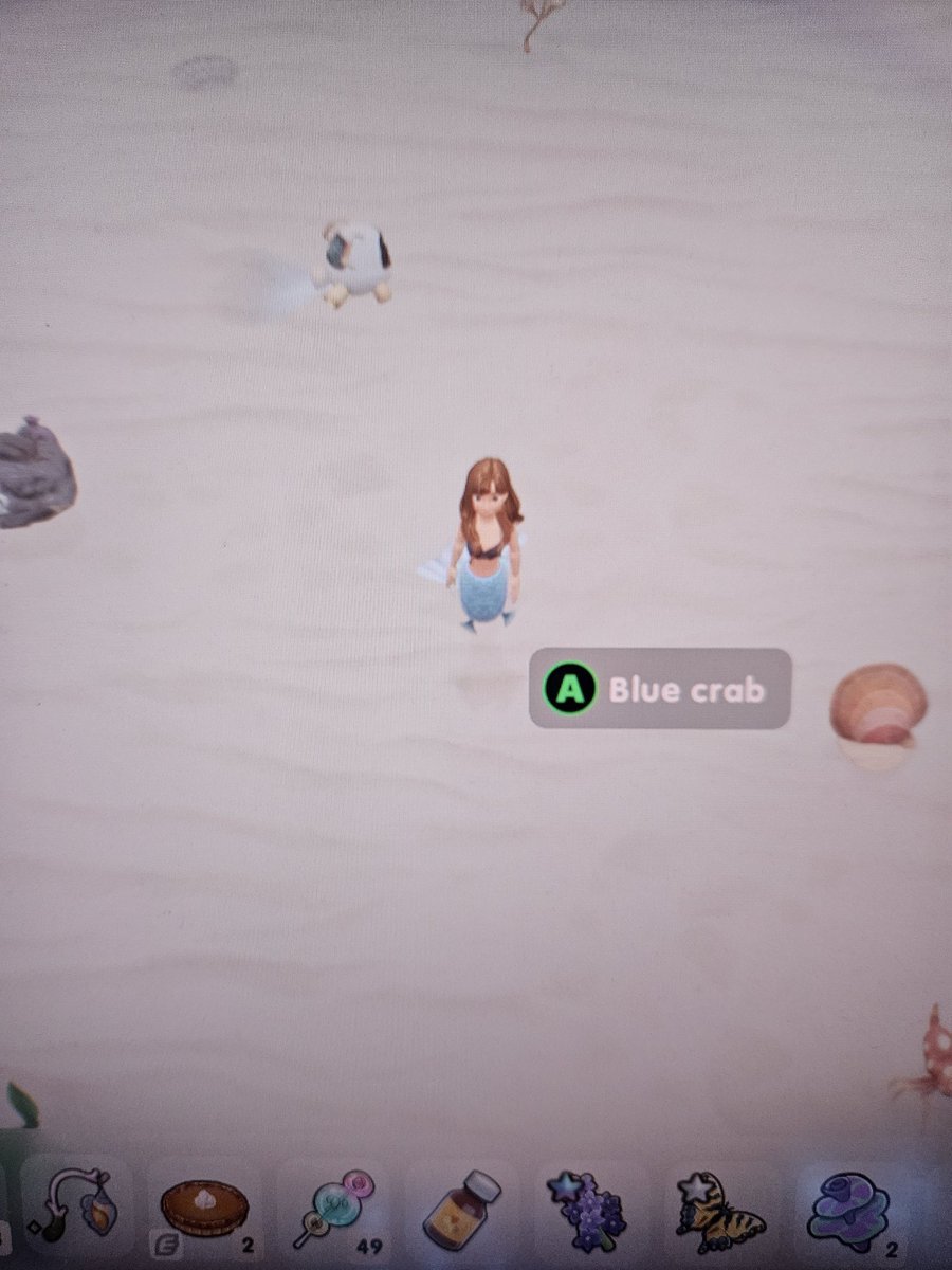 kooyangmin's tweet photo. @coralislandgame @stairwaygames hi guys it's me again sorry lol. Just need to inform you that there's also a bug when a trap is nowhere to be found, but it's actually there. You only can't see it. Thanks! https://t.co/bjEhC883yx