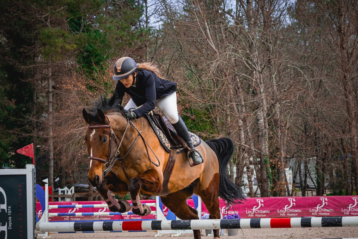 #equitation #cheval