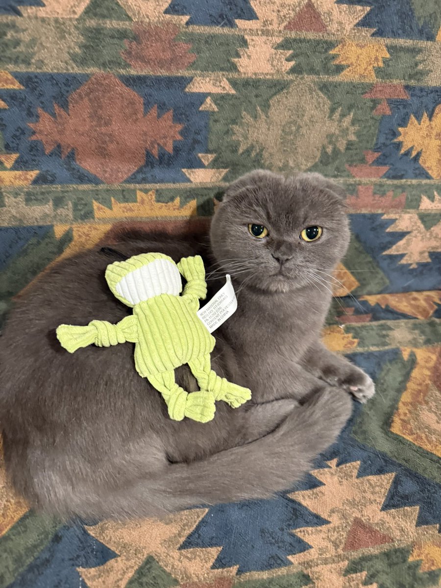 oreo and mimi tweet media