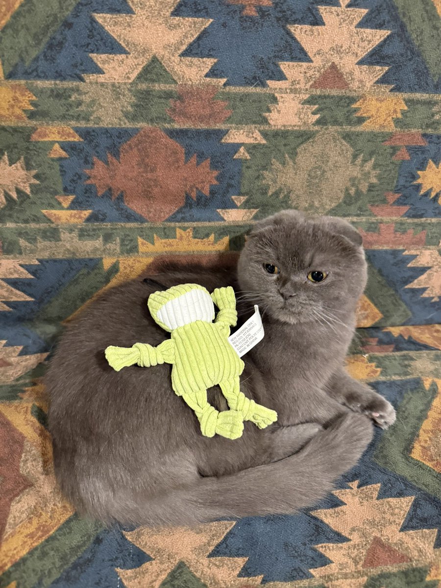 oreo and mimi tweet media