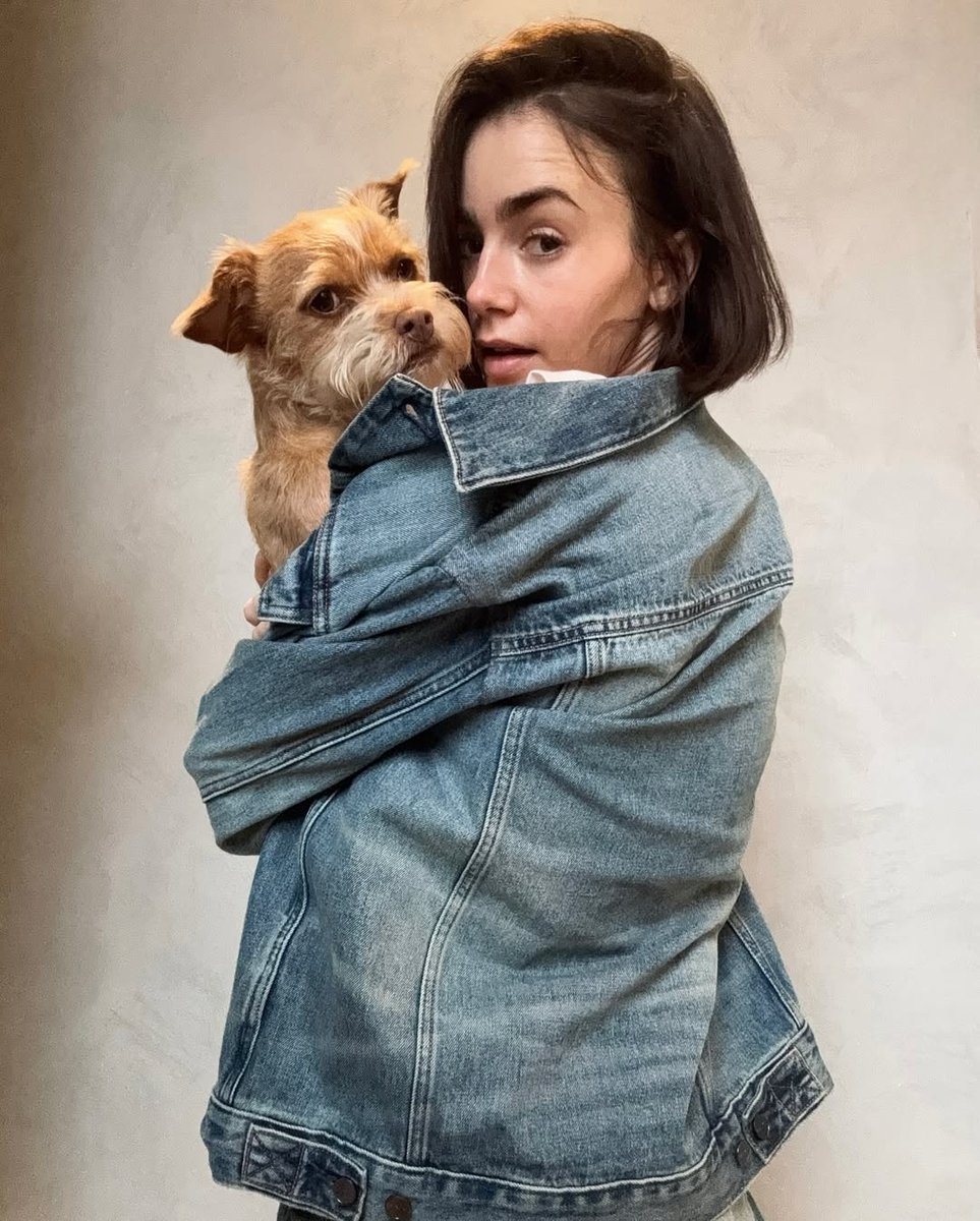 LJCollinsBrasil's tweet photo. 📸 Lily Collins via Instagram. https://t.co/FJ9sMVAKOe