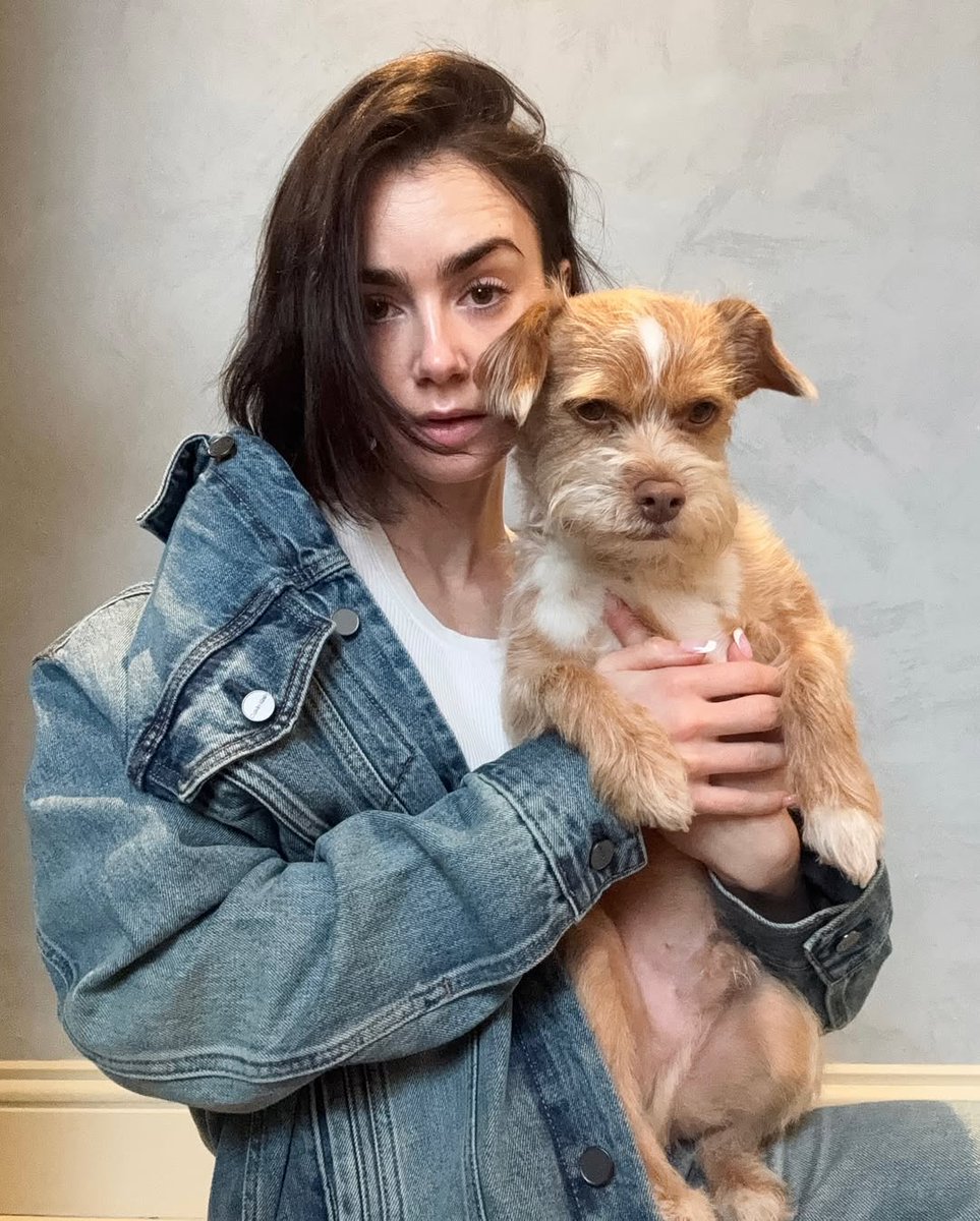 LJCollinsBrasil's tweet photo. 📸 Lily Collins via Instagram. https://t.co/FJ9sMVAKOe