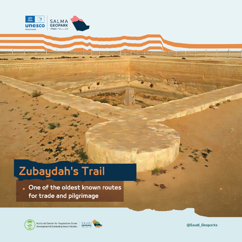 Saudi_Geoparks's tweet photo. Uncover the key landmarks of #SalmaGeopark, a remarkable landscape featuring natural sites of exceptional geological significance, providing deep insight into Earth's ancient history.

#SaudiGeoparks