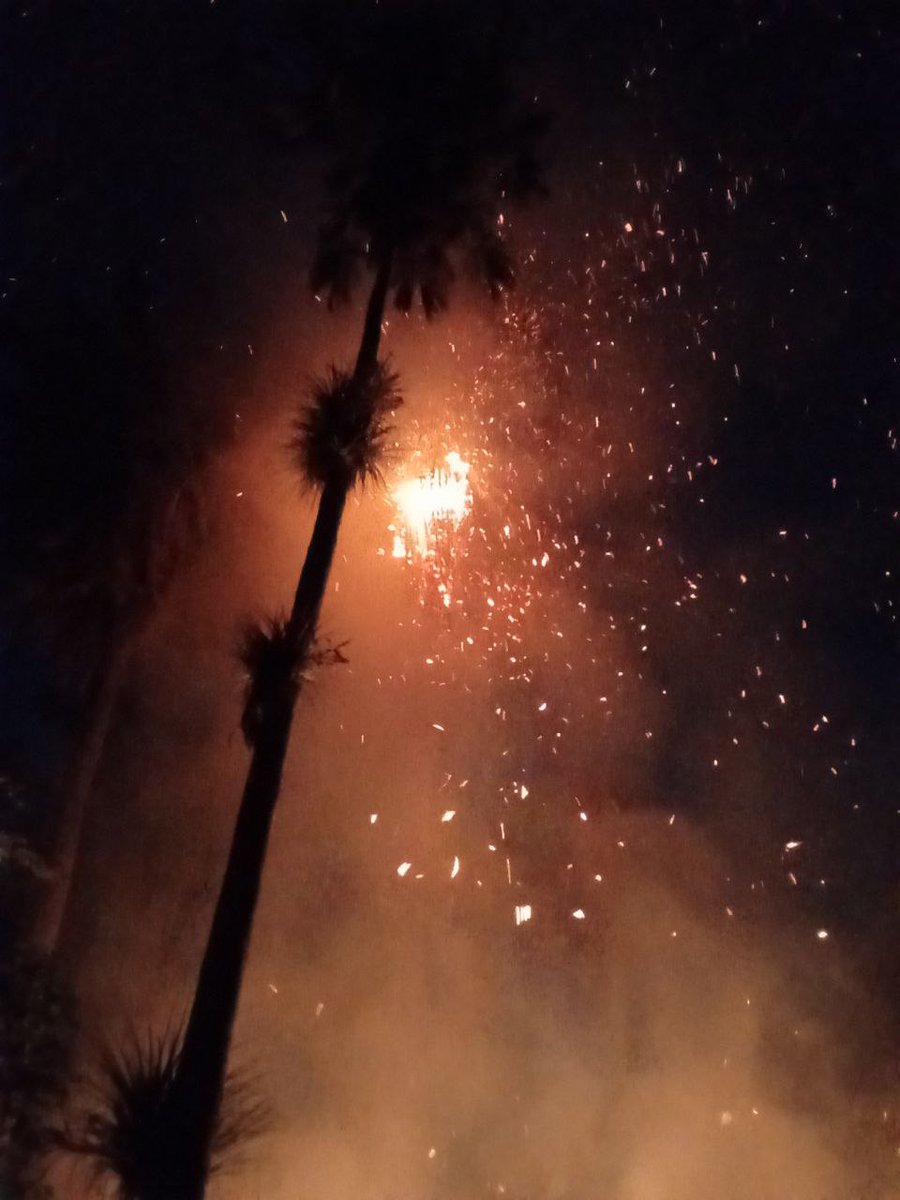 JorgeAlvarezAl5's tweet photo. Desde ayer se combate incendio forestal, calificado como de pequeñas proporciones, en el Jardín Botánico de #Cienfuegos. Ojalá no se afecten de forma significativa los calores de esa joya de nuestra botánica @Ivan68930 @TonyOrsa1980 @ORSA_CitmaCuba @citmacuba. https://t.co/l974Slmk7n