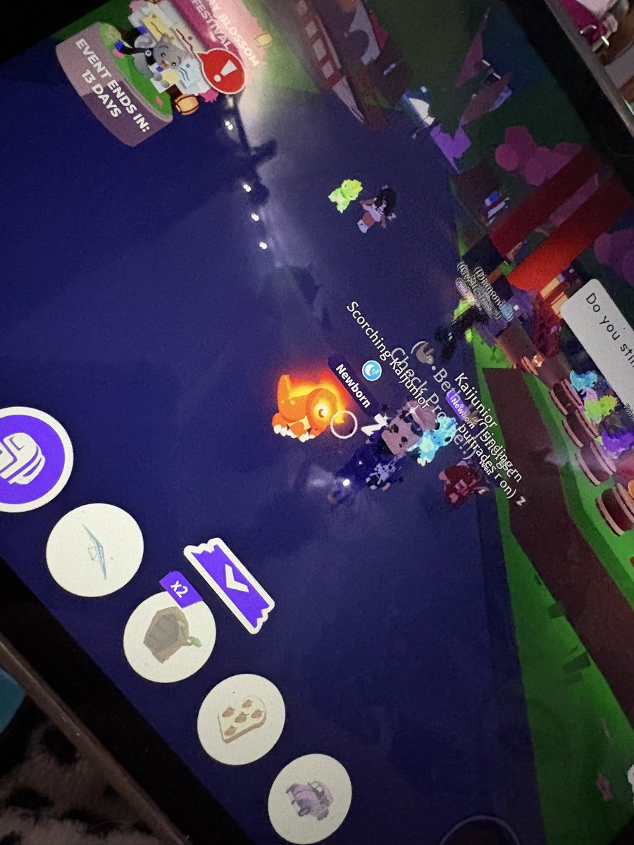 Bbear9337 tweet media