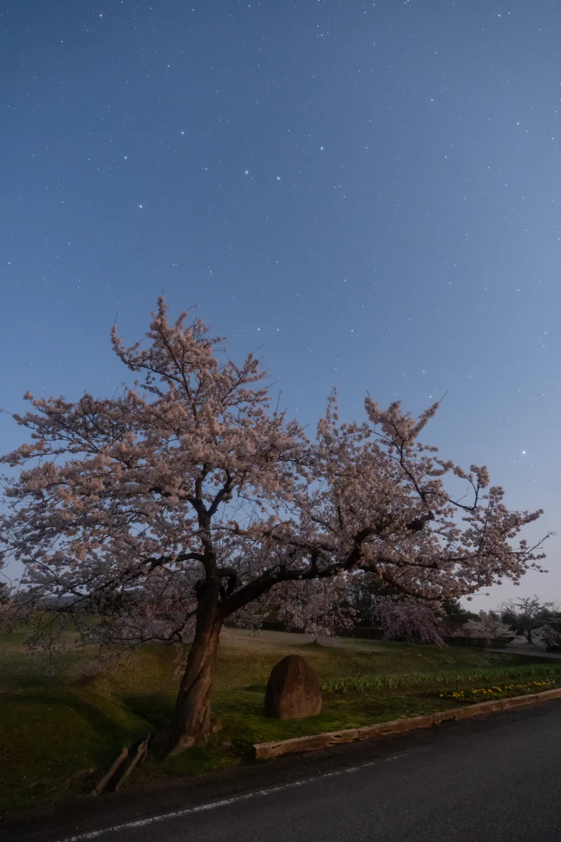 星の観察館「満天星」 on X: 