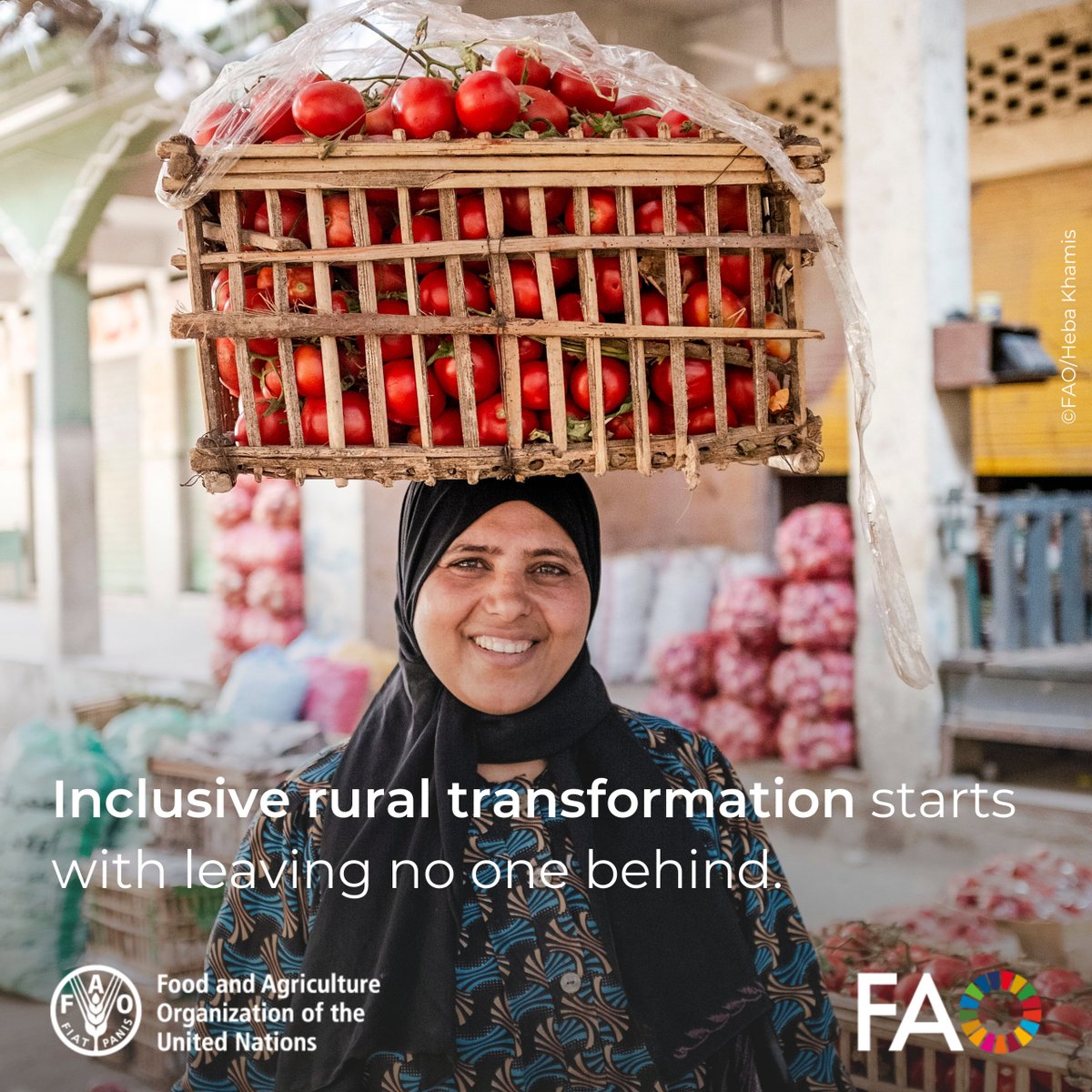 FAOSocioEcon's tweet image. 👩🌾 People-centred approaches are at the heart of transforming agrifood systems.
Watch our playlist to learn how FAO works with governments to empower communities, reduce inequality & promote sustainable development
bit.ly/3XGPEc7
#InclusiveAgrifoodSystems