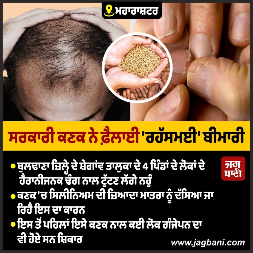 JagbaniOnline's tweet image. ਸਰਕਾਰੀ ਕਣਕ ਨੇ ਫ਼ੈਲਾਈ &apos;ਰਹੱਸਮਈ&apos; ਬੀਮਾਰੀ
#HairLoss #Baldness #Selenium #HealthProblems #Wheat #Jagbani