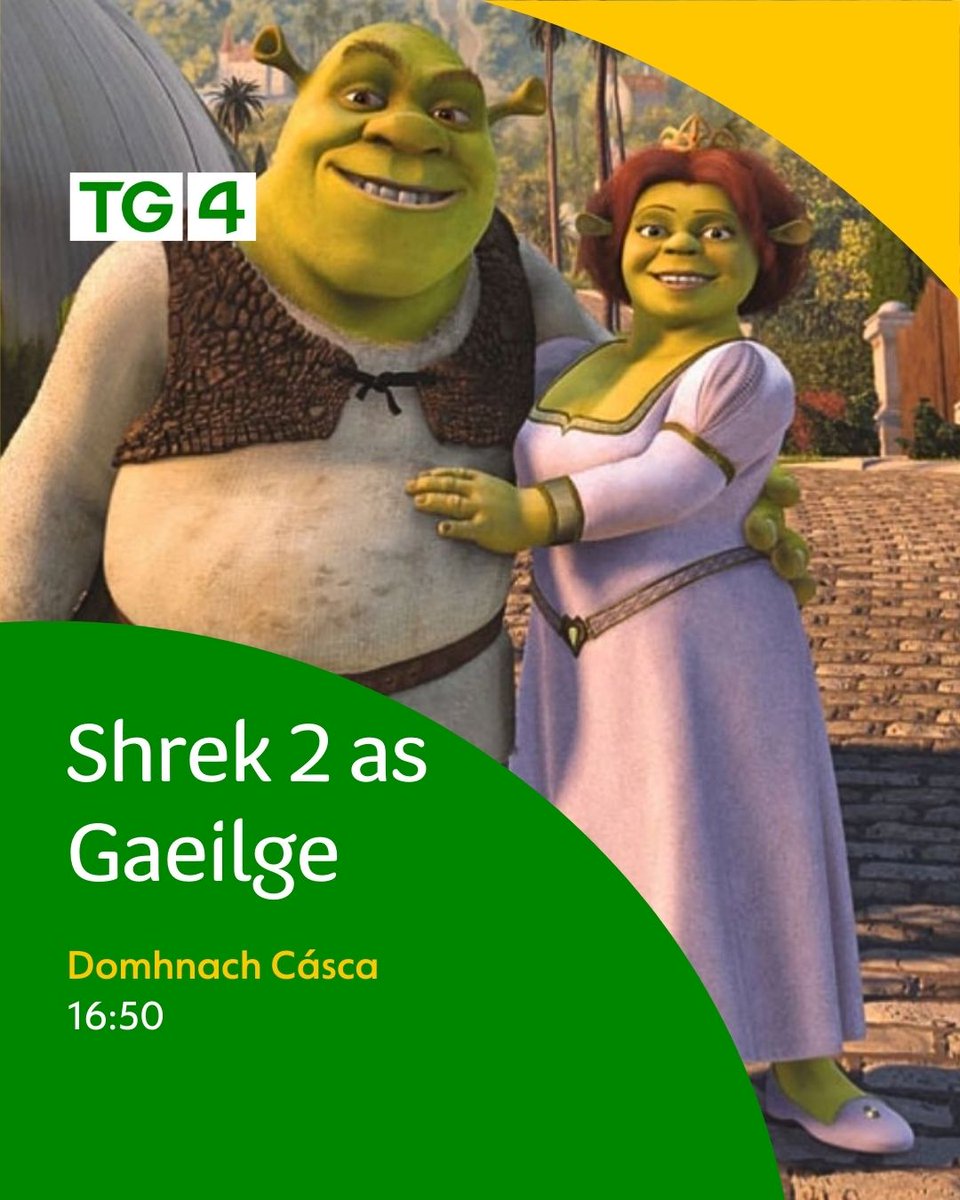 níl aon swamp mar do swamp féin💚🏰🐈🐴🧚‍♀️☕🐸👑🐖🐁