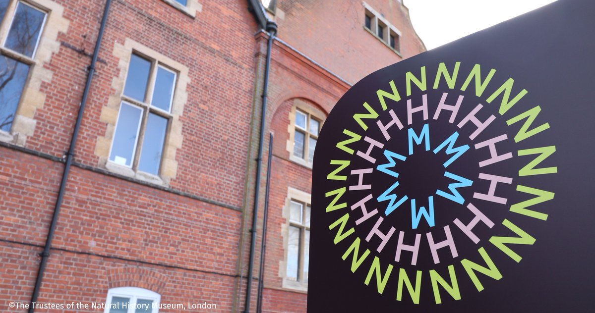 It's a bank holiday weekend and we're open bank holiday Monday 21 April. Pop into the Museum for a mooch in our galleries and enjoy a cuppa and cake from the cafe.