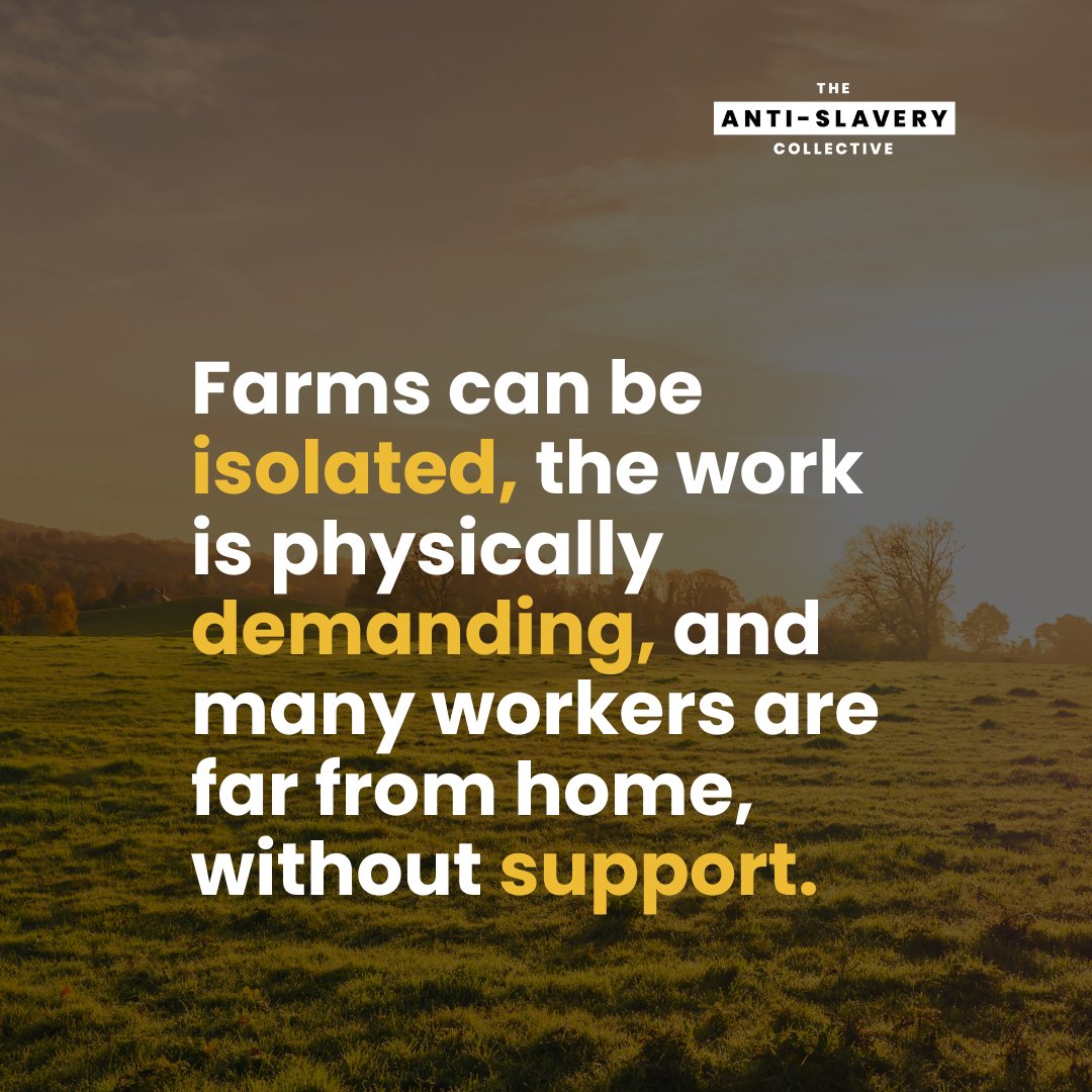 The Anti-Slavery Collective (@tasc_org) on Twitter photo Did you know agricultural workers face exploitation risks? 
Isolated farms, intense labour, housing tied to employers & language barriers make them vulnerable. 
If you see something suspicious, please report it: 08000 121 700 
<a href="/UnseenUK/">Unseen</a> #TheAntiSlaveryCollective Did you know agricultural workers face exploitation risks? 
Isolated farms, intense labour, housing tied to employers & language barriers make them vulnerable. 
If you see something suspicious, please report it: 08000 121 700 
<a href="/UnseenUK/">Unseen</a> #TheAntiSlaveryCollective