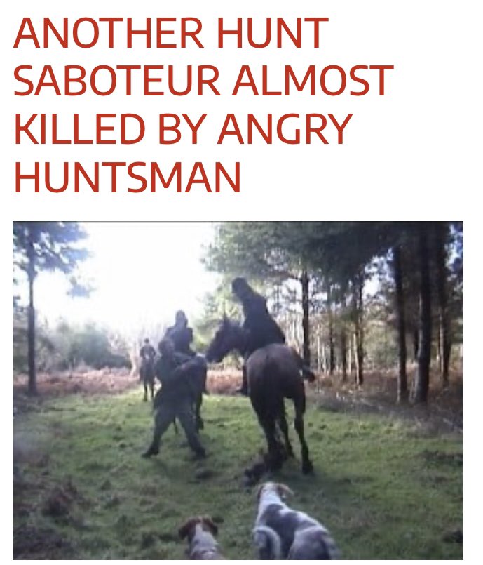 Probably a LEAST  favourite example of a “living heritage” The nation will celebrate when this organised crime is finally shut down 🦊🩸