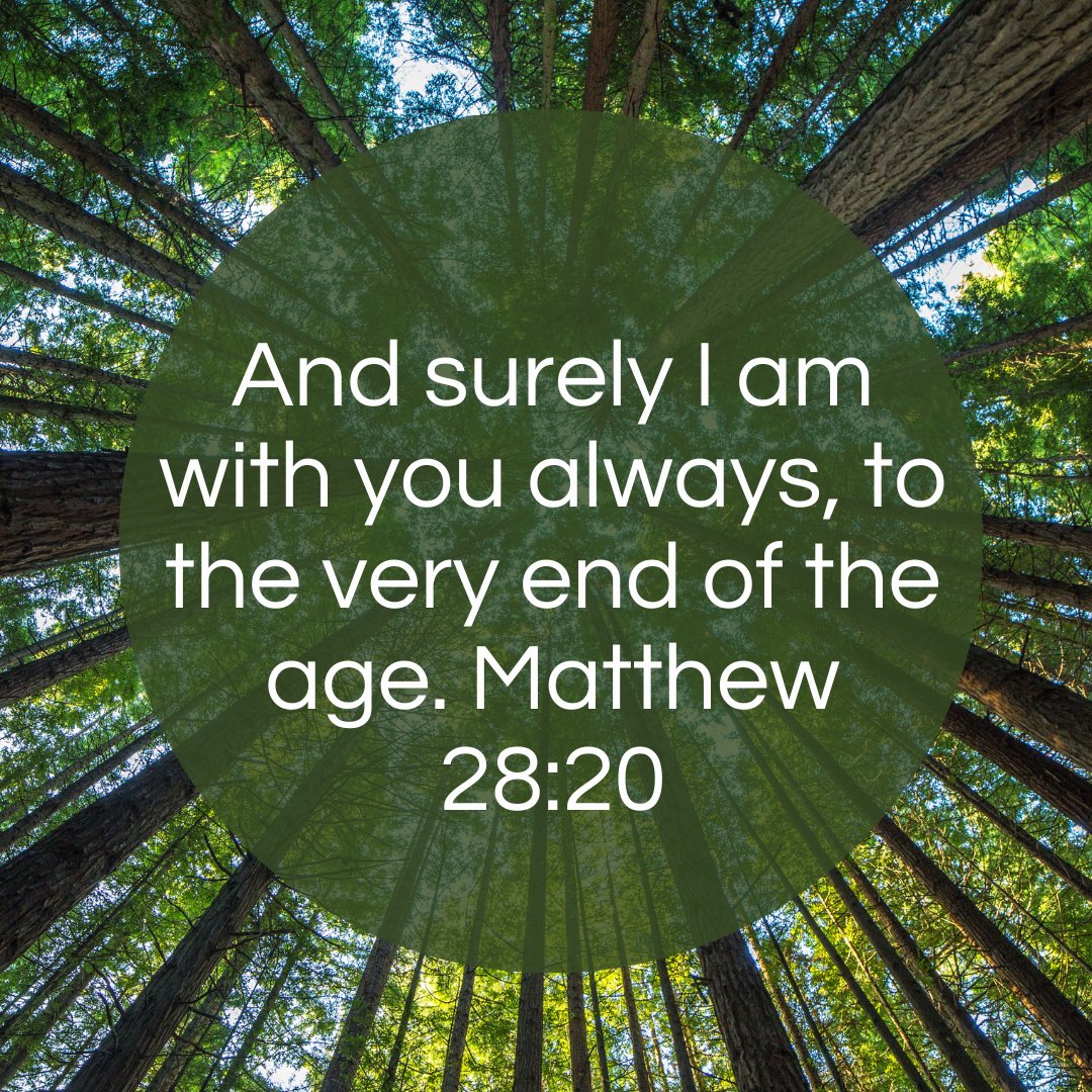 TopeKeku's tweet photo. Matthew 28:20
Prayer: Lord, thank You for Your promise to always be with me. Help me to feel Your presence and to find comfort in Your nearness. https://t.co/Olf46oiDUg