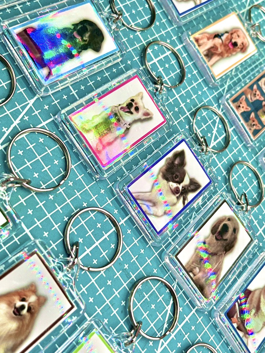okuwupcs's tweet photo. meow meow meow meow #keychains https://t.co/Jlzj0V15Gn