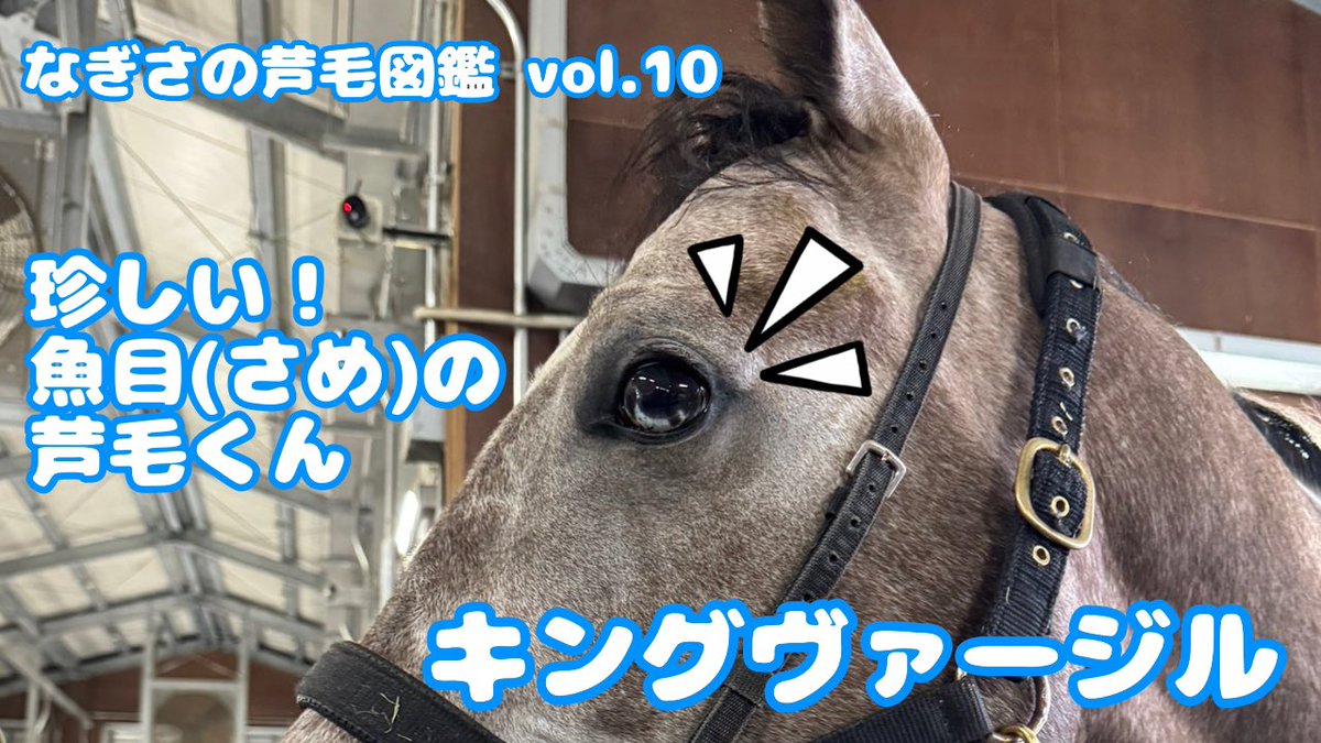 三浦さんページ 三浦 凪沙 on X