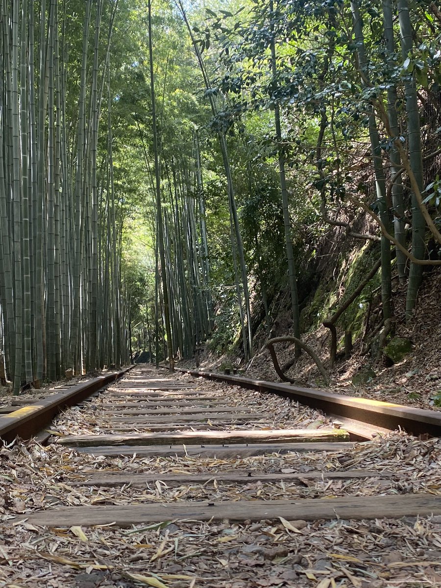 rokalvmax's tweet photo. 国鉄倉吉線廃線跡
泰久寺駅から少し行ったところ

だいぶ前にから、行きたかったとこ

良きところでした。
#泰久寺駅跡
#倉吉線廃線跡 https://t.co/rJ3uvK3ljb