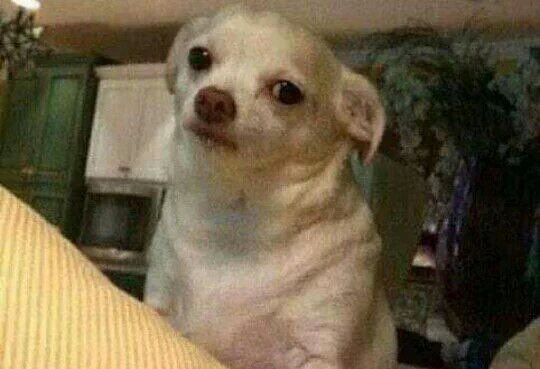 IrmaorobinFC's tweet image. Faz besteira o ano todo,chega na semana Santa fala que não pode comer carne porque é pecado"