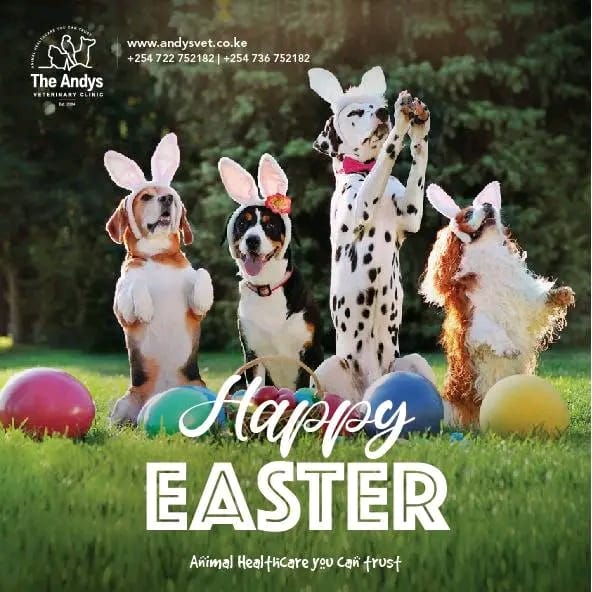 andysvetsurgery's tweet photo. Happy Easter ! May this Easter bring peace to your heart and smiles to your home! 🙏 https://t.co/Xq9l87MYS0