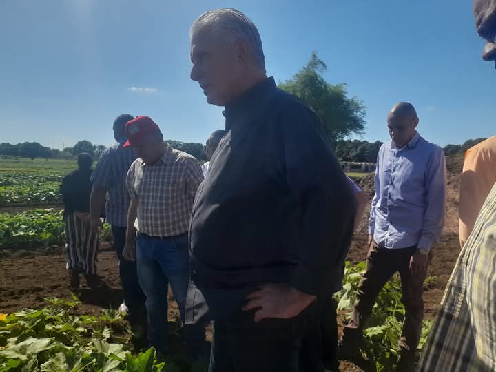 CarlosC64808313's tweet photo. Allí se interesó por la diversidad de productos y la siembra en secano lo que favorece el ahorro de combustible y agua.
Se interesó además en la técnica que utiliza para la producción de calabaza y la germinación de las semillas.
#YoSigoAMiPresidente #PericoEnVictoria https://t.co/ZW4V6UX4OQ