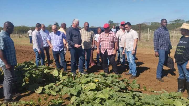 CarlosC64808313's tweet photo. Allí se interesó por la diversidad de productos y la siembra en secano lo que favorece el ahorro de combustible y agua.
Se interesó además en la técnica que utiliza para la producción de calabaza y la germinación de las semillas.
#YoSigoAMiPresidente #PericoEnVictoria https://t.co/ZW4V6UX4OQ