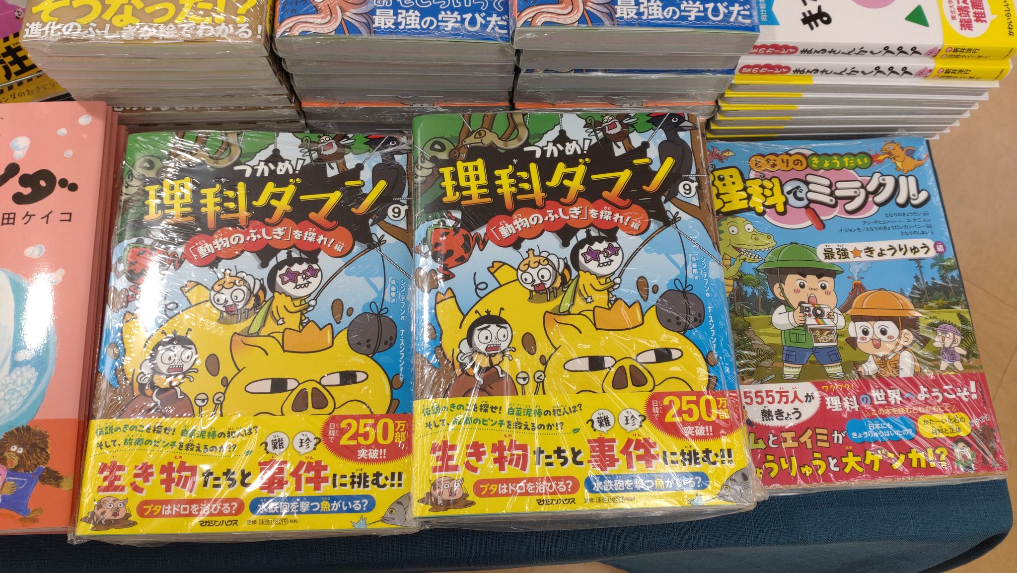 ✨63000円➡45000円✨【～7/21期間限定特価】理科全部入り 積層セラミックコンデンサー 4.7μF100V X7S 5mmピッチ: 受動部品