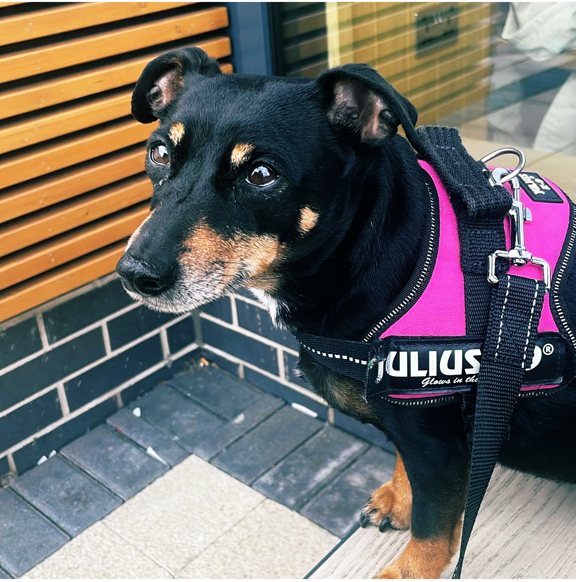 Coffee date with my bestie 💕