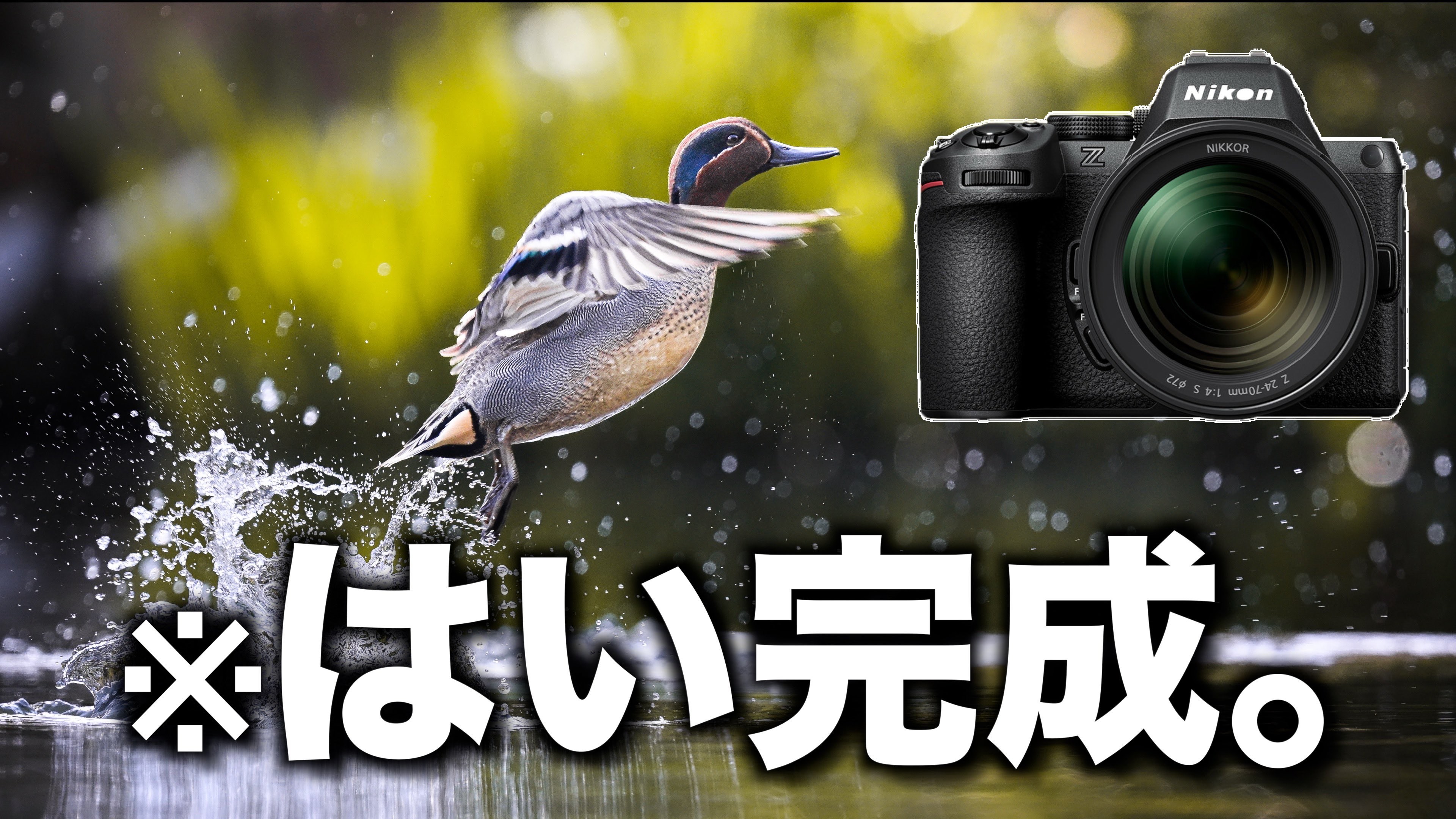 ふぁらお on X: 