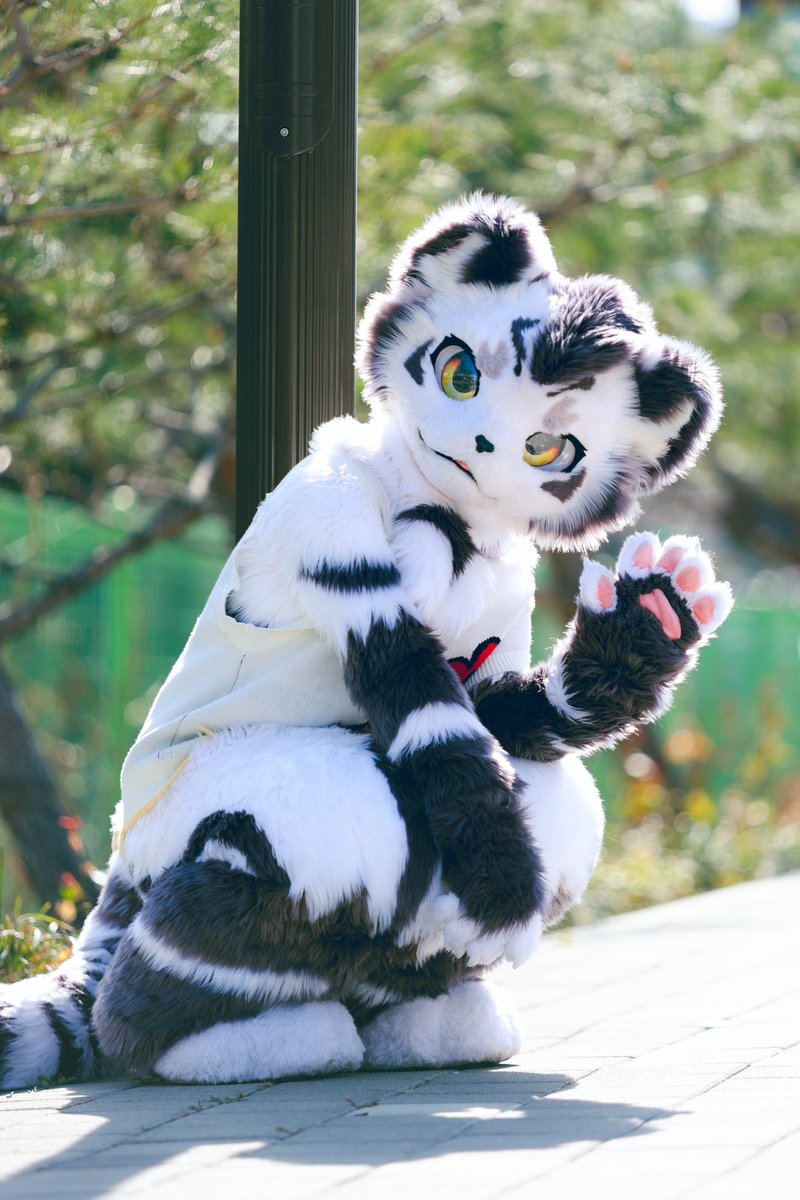 Hey, I'm pooping
Wanna come poop together？
📷：<a href="/Kloe_Mone/">클로이(KLOE)</a> 
#FursuitFriday