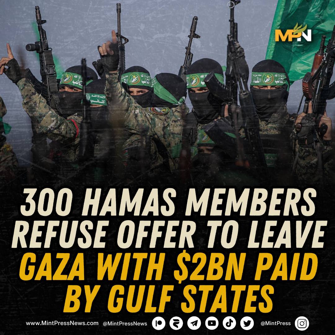 MintPress News tweet media
