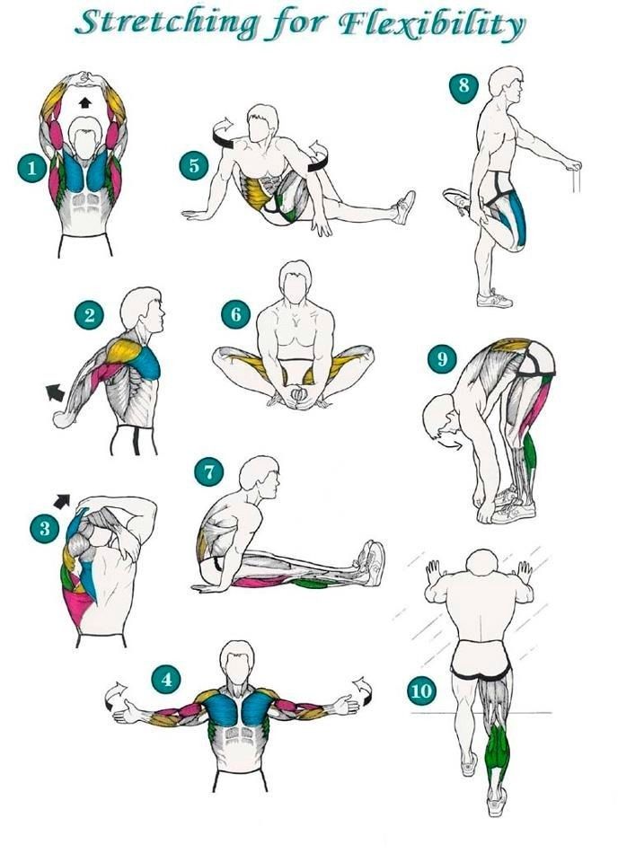 FitnessDadx's tweet photo. Stretch Daily It Keeps the Stiffness Away 🌿🧘‍♂️ https://t.co/tEmxATJxQF
