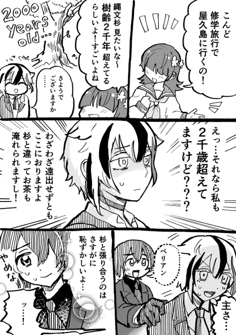 杉 