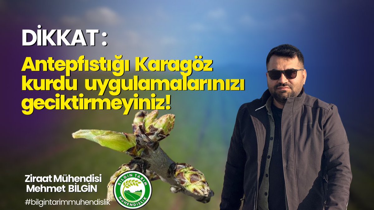 bilgin_tarim's tweet photo. Antep fıstığı bahçelerinde Karagöz kurdu zararlısına DİKKAT! Uygulamaları geciktirmeyelim, verim kaybı yaşamayalım! Zamanında mücadele, sağlıklı fıstığın anahtarıdır!
🌰⏰🐛🌿
#AntepFıstığı #KaragözKurdu #ZamanındaMücadele #FıstığaSahipÇık #TarımdaDoğruAdım https://t.co/A2CPKzfD28