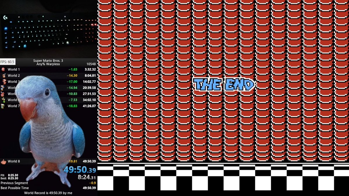 Warpless WR!!!

After 26 runs to world 8 with 0 runs past hands, on the 27th run to hands we got no hands and clutched it out!