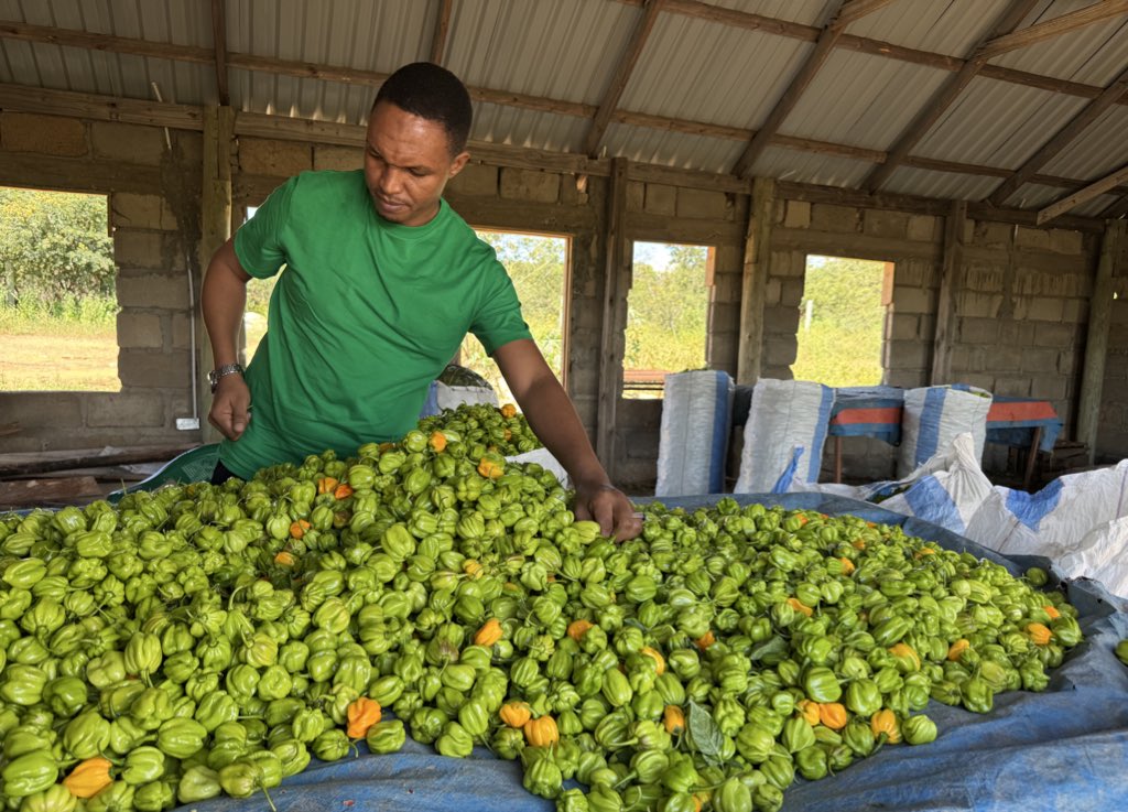 AllyHapi's tweet image. Alhamdulillah 🇹🇿