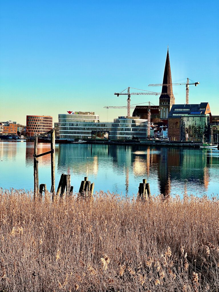 Dr. Ulf Th Zierau tweet media