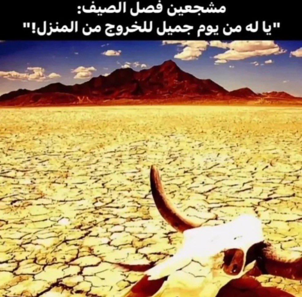 عدنا وعاد الصيف