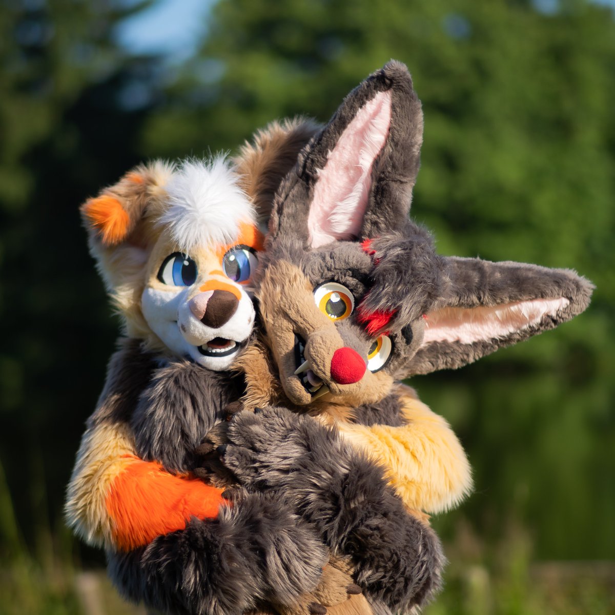 In the dust of forgotten photos land 🏝️, I traveled through this dangerous ⚔️ place to find something for #FursuitsFriday and then I saw 👀 that picture. Shining like the good dog <a href="/BaddydaWuff/">Baddy 🐾</a> 😊.
#furry #fursuiting 
📷: <a href="/snowpardDeri/">Deri</a>