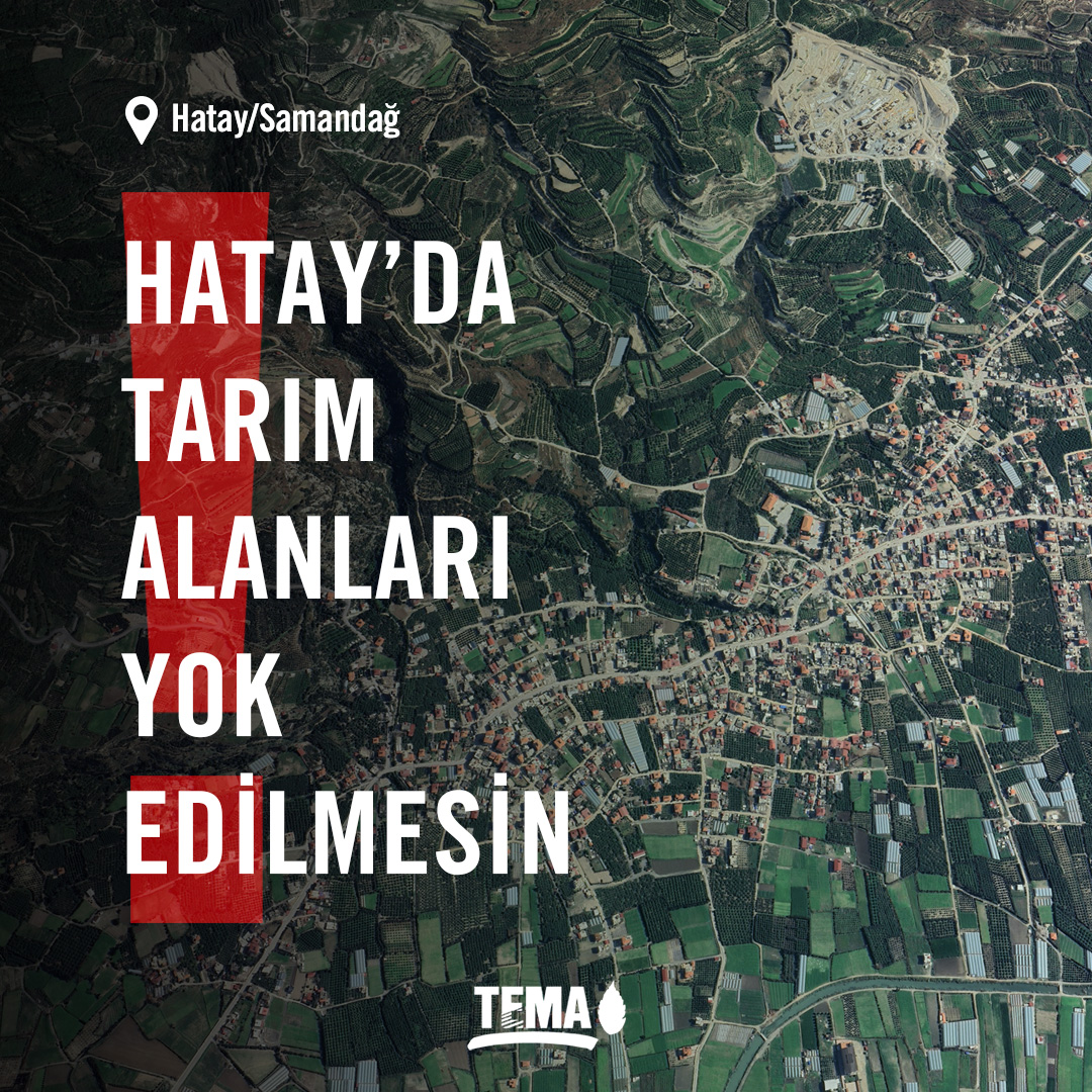Hatay’da halk zeytinliklerini ve meyve bahçelerini korumaya çalışıyor!

❗️Şubat 2023 depremlerinin ardından acele kamulaştırma kararıyla kamulaştırılan tarım arazilerine konut yapılmasına ilişkin hukuki süreç sonlanmadan, 17 Nisan Perşembe sabahı ne yazık ki zeytinliklerdeki ve
