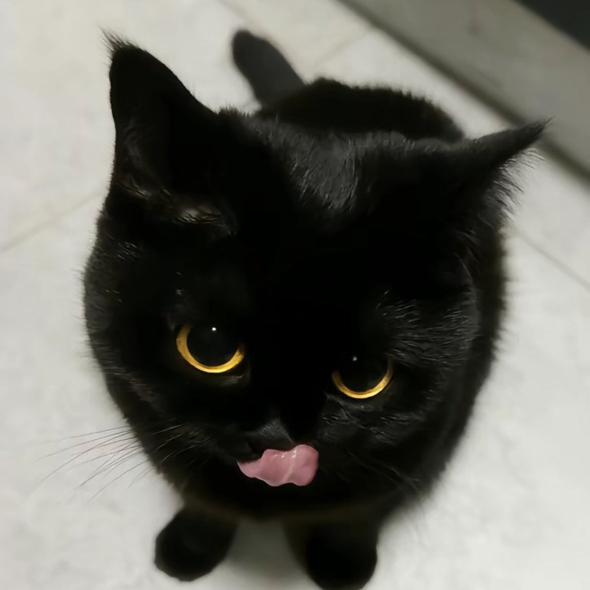 เป้ะเลยอ้วน :3