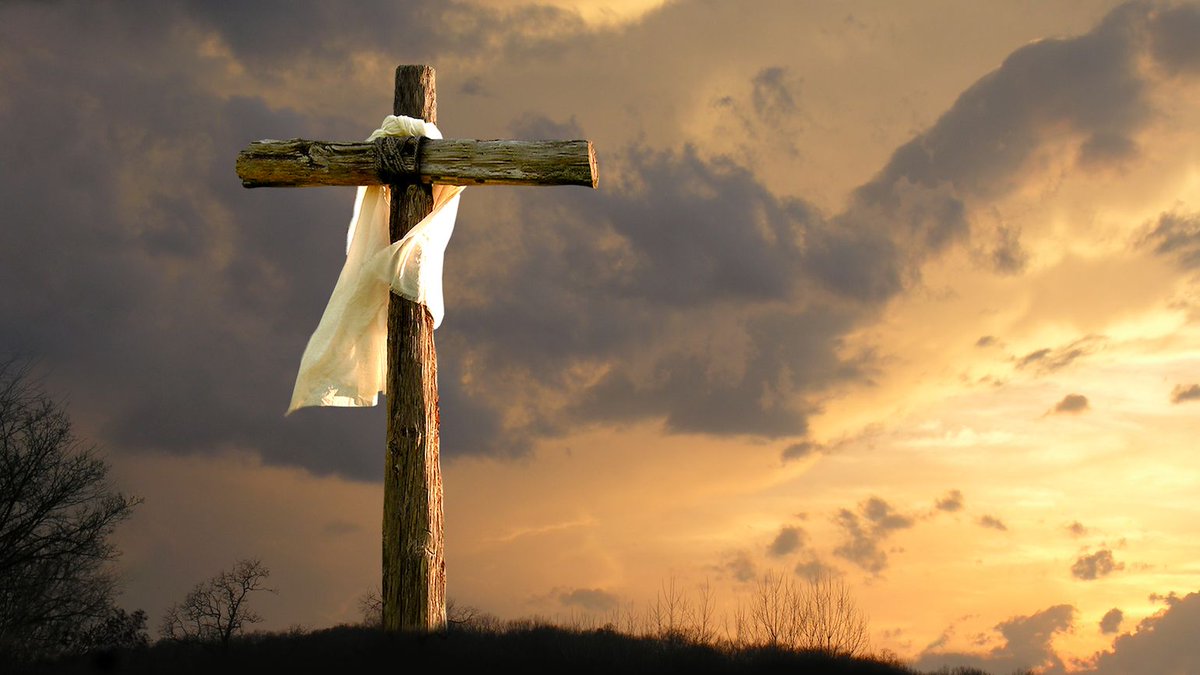Good morning all of you awesome 🇺🇸 guys and gals. Have a blessed good Friday ✝️