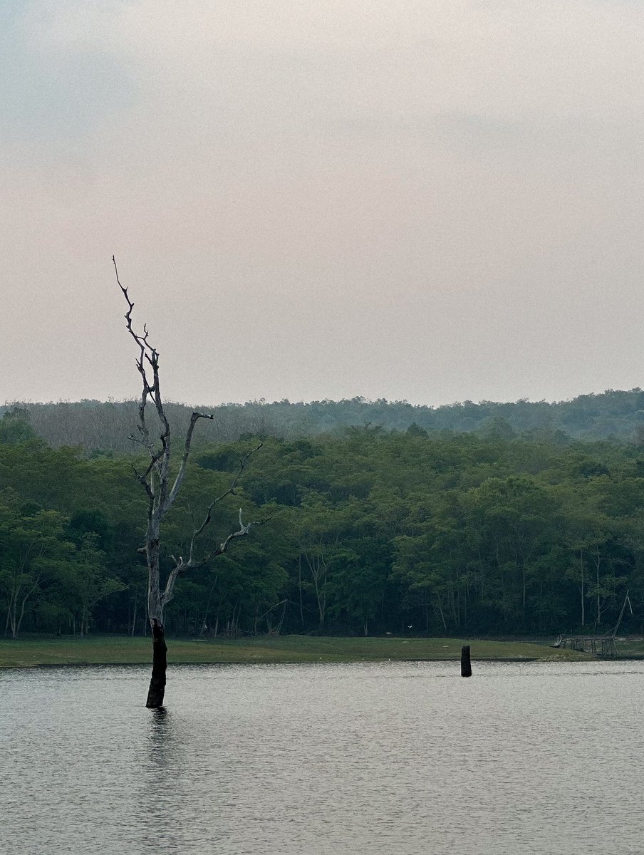 “เราต่างทำดีที่สุดแล้ว ภายใต้เงื่อนไขชีวิตที่เรามีในตอนนั้น”   เมื่อคิดได้แบบนี้ ไม่มีเรื่องอะไร ที่เราต้องมานึกเสียดาย หรือเสียใจในตอนหลัง เพราะทุกครั้งที่คนเราตัดสินใจ เราย่อมตัดสินใจในสิ่งที่ดีที่สุดเพื่อตัวเอง เมื่อผลลัพธ์ไม่เป็นอย่างที่หวัง ได้โปรดอย่าโทษตัวเอง :)