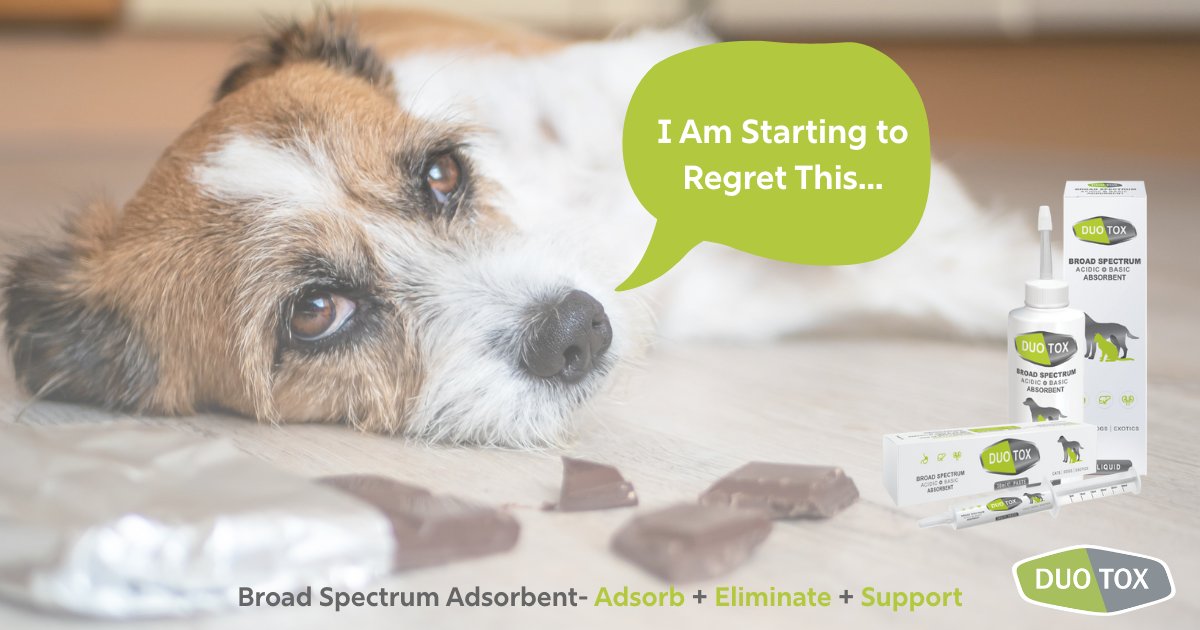 cfpharma_vet's tweet photo. 🐣 Easter = more scavenging risk for pets.

Keep DuoTox on hand — broad-spectrum gut support with activated charcoal + diosmectite.

✔️ Fast-acting
✔️ Dogs, cats &amp; small fur animals
✔️ Paste &amp; liquid

#DuoTox #PetHealth #EasterSafety #VetSupport https://t.co/yNx4i0i9Qu