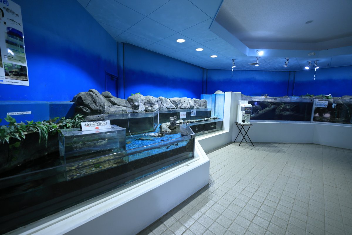 welcomeMoonside's tweet photo. #かすみがうら市水族館 #水族館 https://t.co/ww3gr4LwDX