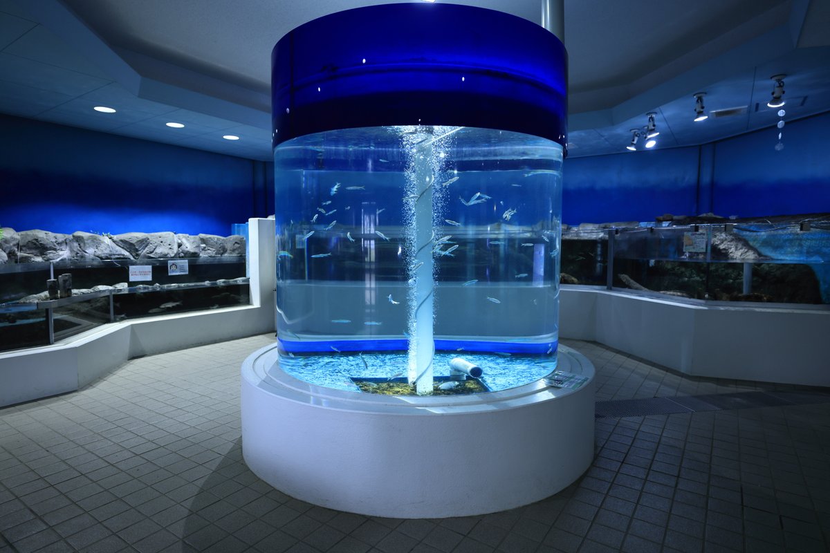 welcomeMoonside's tweet photo. #かすみがうら市水族館 #水族館 https://t.co/ww3gr4LwDX