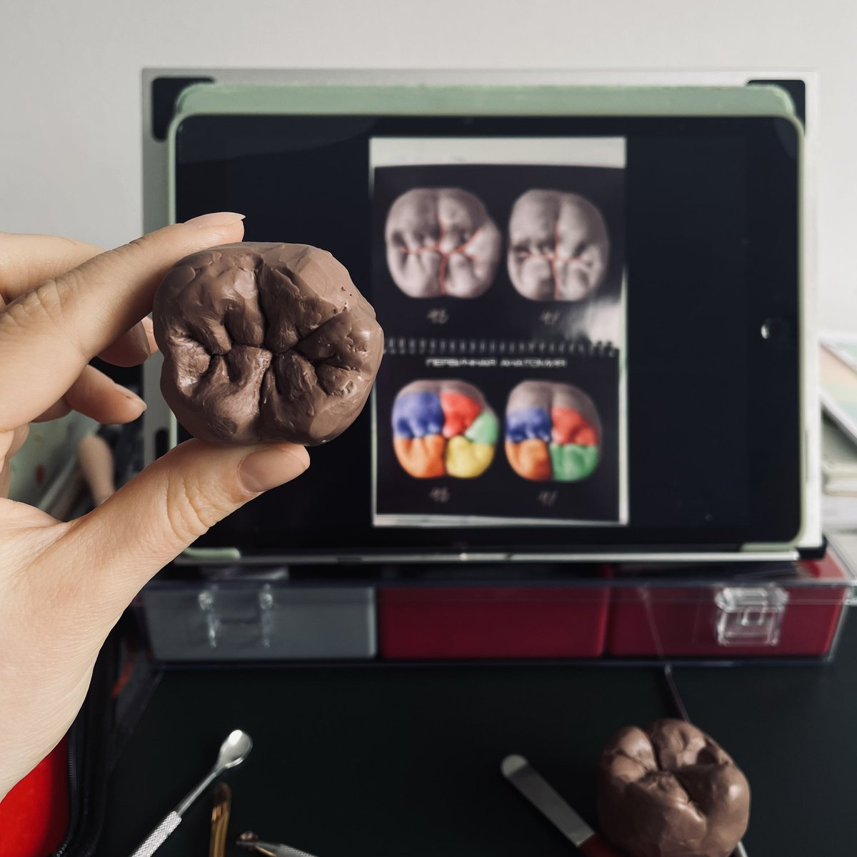 Huramaj 🦢 обедаю в замке tweet media