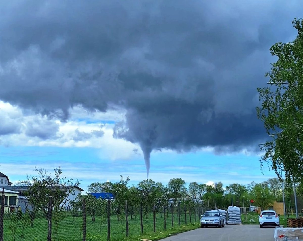 Hailz Serbia tweet media